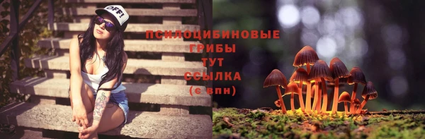 apvp Аркадак