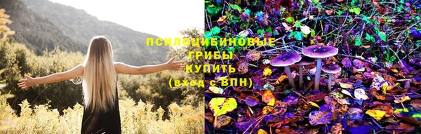 СК Арсеньев