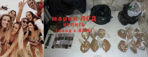 apvp Аркадак